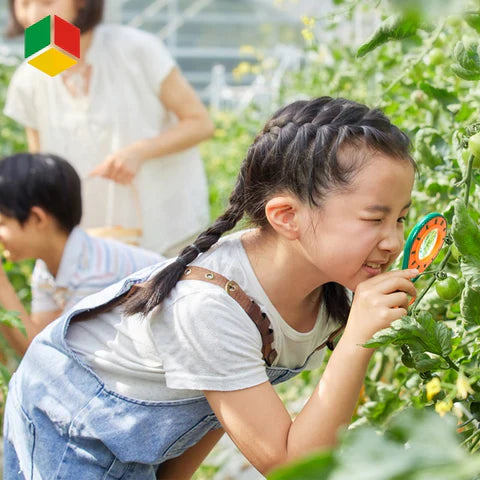 A young girl uses the Toyfetti Little Explorer Bug Catching Set – Nature Discovery Kit for Curious Kids to examine a plant in a sunlit garden, inspiring young scientists as others join her nature adventure in the background.