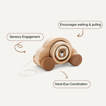 Wooden Pull-Along Bear Car – Montessori Toddler