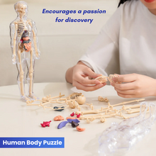 A child assembles the BioBuddy™ Little Doctor Play Kit – 3D Human Anatomy STEM Toy by Toyfetti, featuring removable organs and bones. Text: “Encourages a passion for discovery” and “Human Body Puzzle STEM Toy.”.