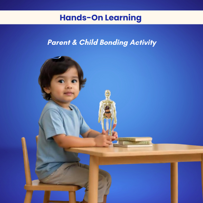 A young child explores the BioBuddy™ Little Doctor Play Kit by Toyfetti—a 3D human anatomy STEM toy—at a small wooden table, fostering hands-on learning and parent-child bonding. Ideal for curious minds!.