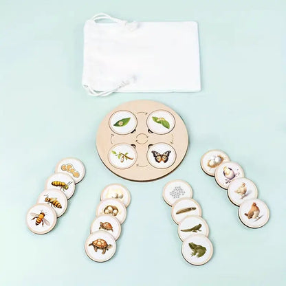 Life Cycle Puzzles – Explore Nature’s Transformations Piece by Piece