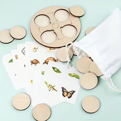 Life Cycle Puzzles – Explore Nature’s Transformations Piece by Piece