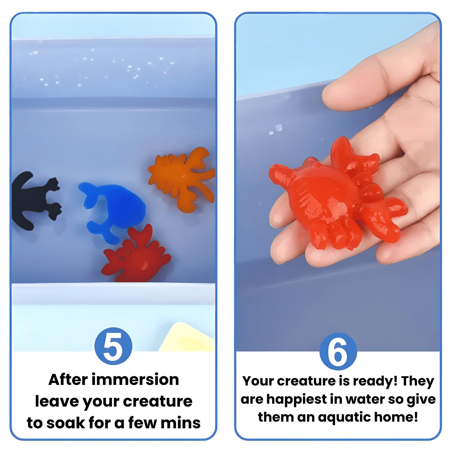 Step 5: Magic Water Wonder Kit’s colorful Toyfetti sea creatures soak for sensory fun. Step 6: A hand lifts a red 3D crab, reminding kids to enjoy hands-on play and return their Toyfetti animal to its aquatic home.