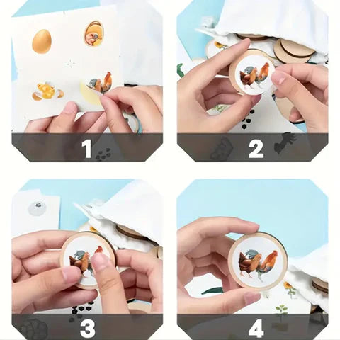 Life Cycle Puzzles – Explore Nature’s Transformations Piece by Piece