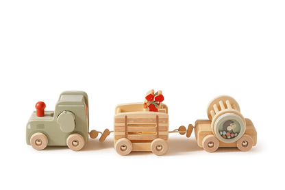Wooden Train Puzzle Toy – Color & Shape Matching Squirrel-Toyfetti