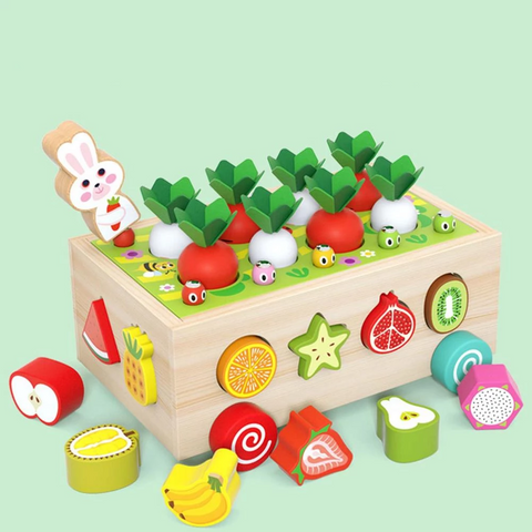 Montessori Garden Shape Sorter – Plant, Match & Harvest with Bunny Buddies!